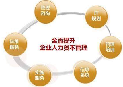 心理学专业向企业管理咨询转型的路径与前景